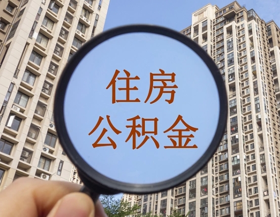 莱州退休后查不到公积金明细了吗（退休后公积金查询不到原因）